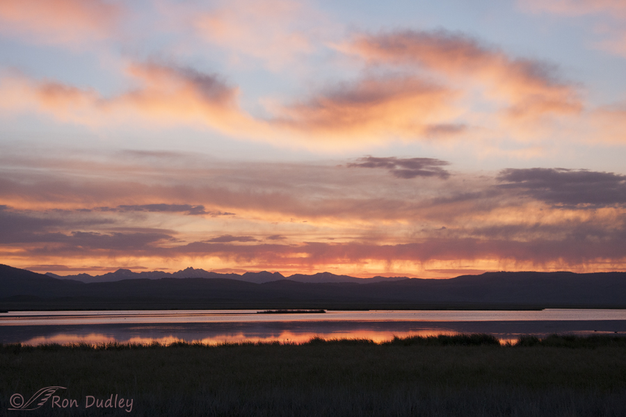 centennial valley 1091 ron dudley