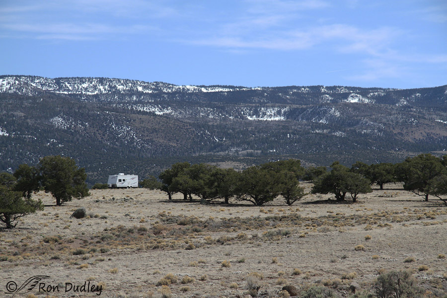 boulder mountain campsite 5268 ron dudley