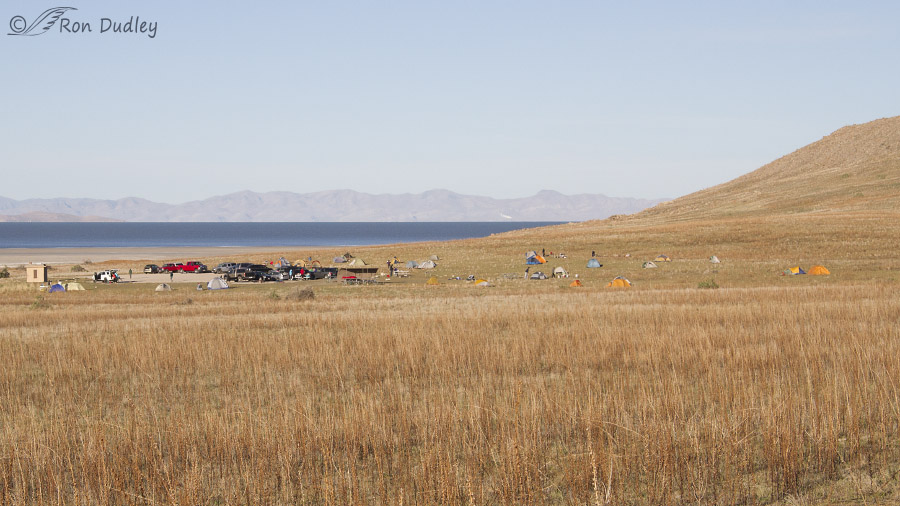 bridger bay group camping area 5320 ron dudley