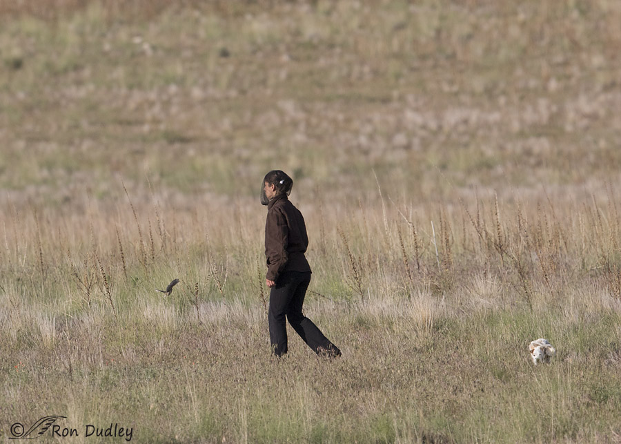 stupid camper 1742 ron dudley