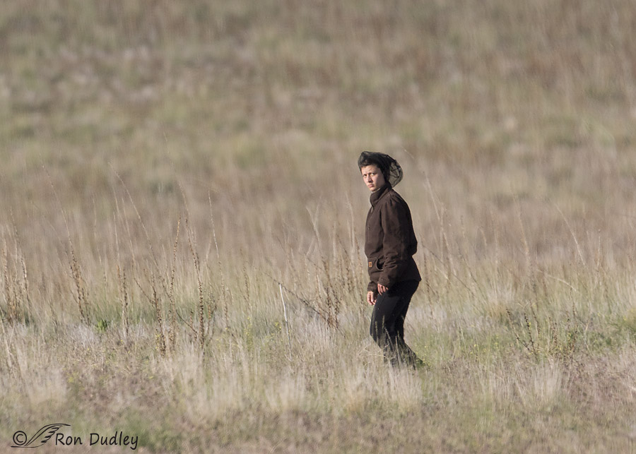 stupid camper 1807 ron dudley