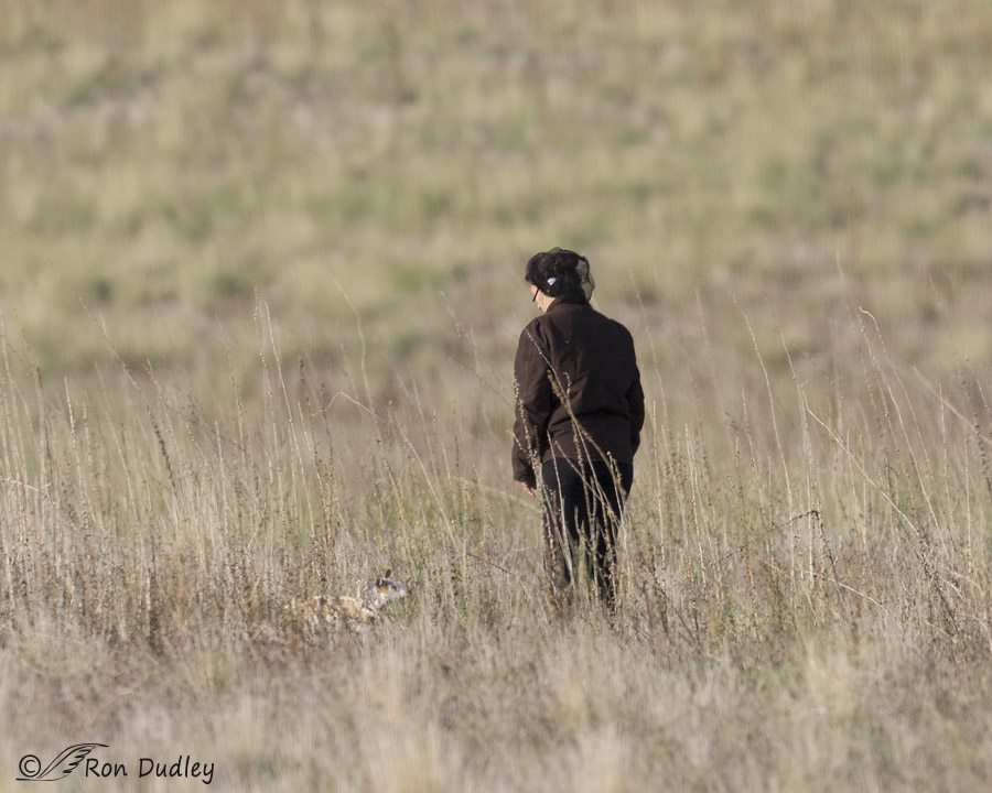 stupid camper 1816 ron dudley