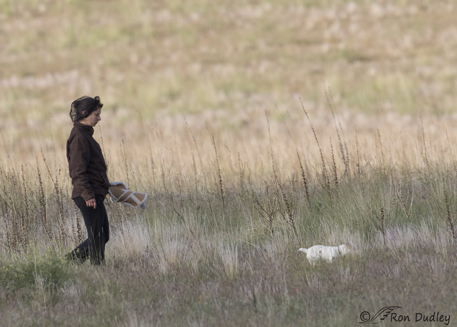 stupid camper 1821 ron dudley