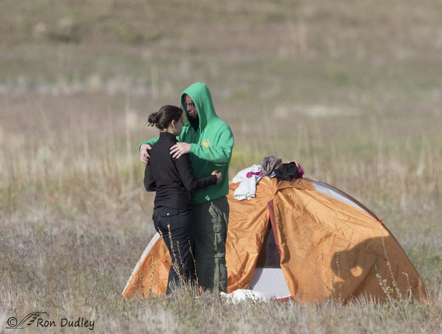 stupid camper 2050 ron dudley