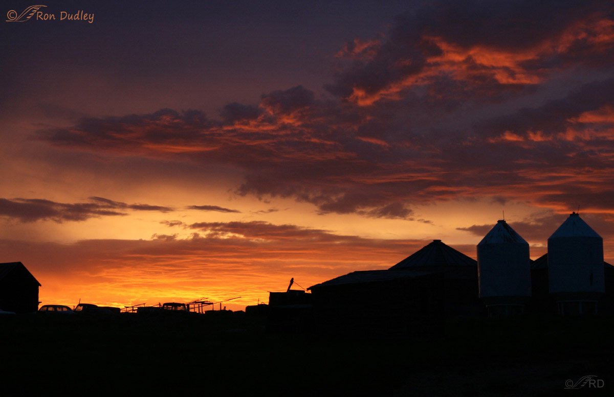 farm sunrise 7305 ron dudley