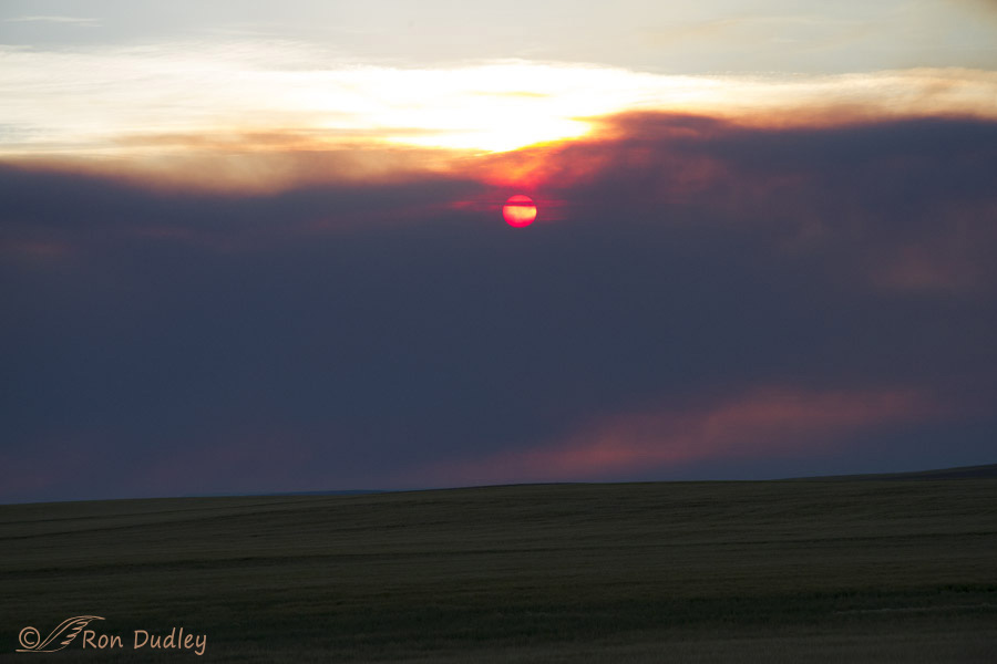 smoke from glacier park fire 5529 ron dudley