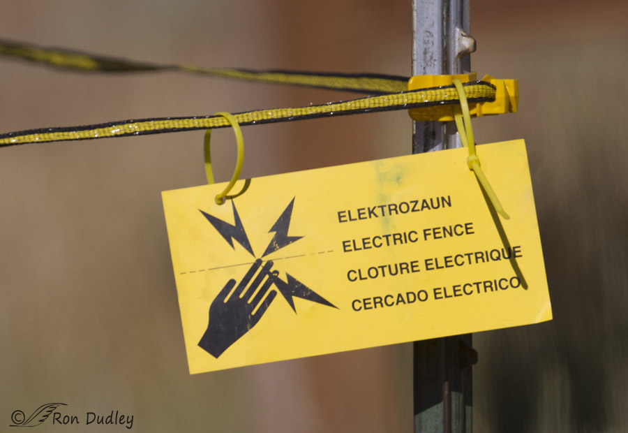 electric fence sign ron dudley