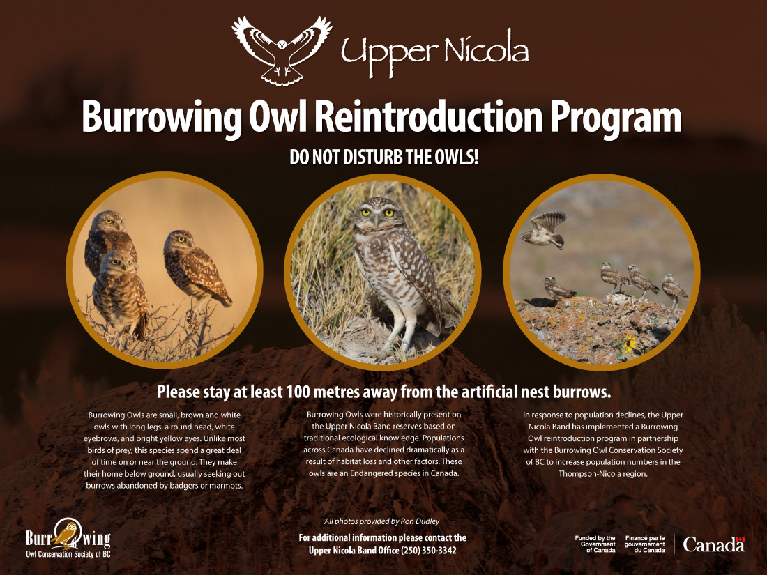 burrowing owl signage, upper nicola band, bc