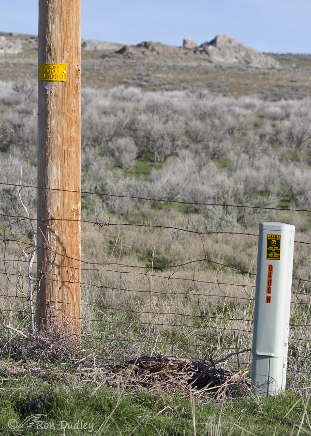 raven nest 0551 ron dudley