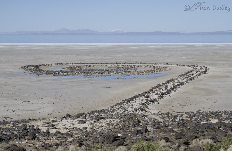 spiral jetty 5859 ron dudley
