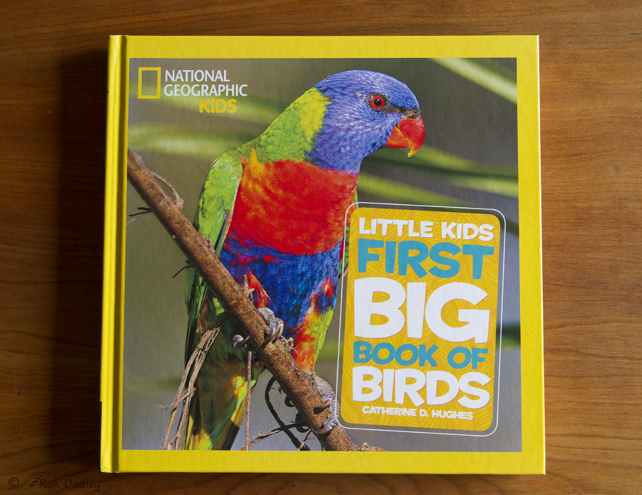 first big book of birds 5956 ron dudley