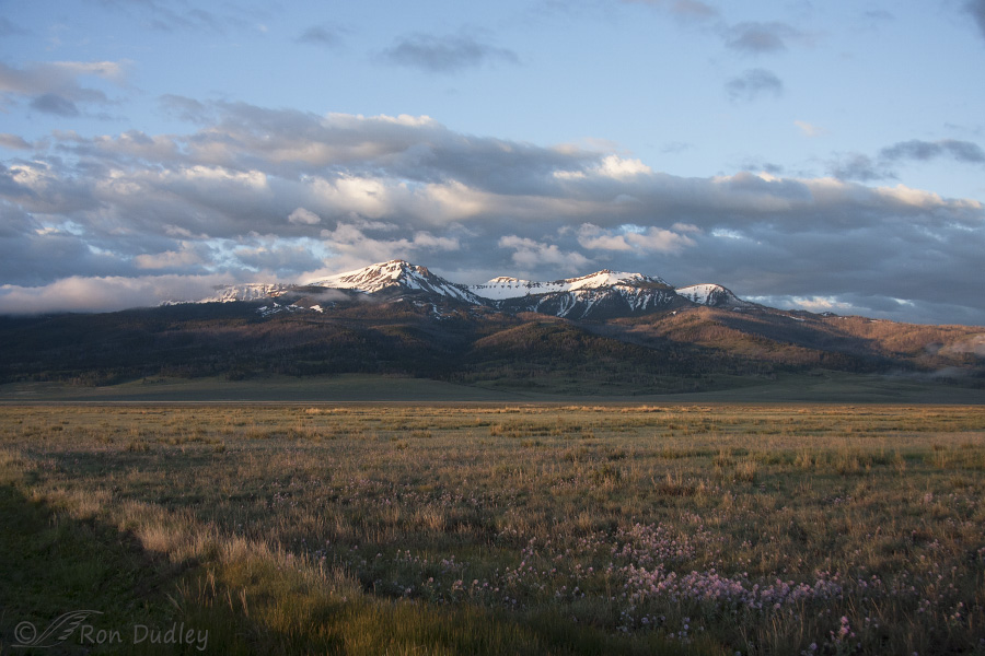 centennial valley 0851 ron dudley