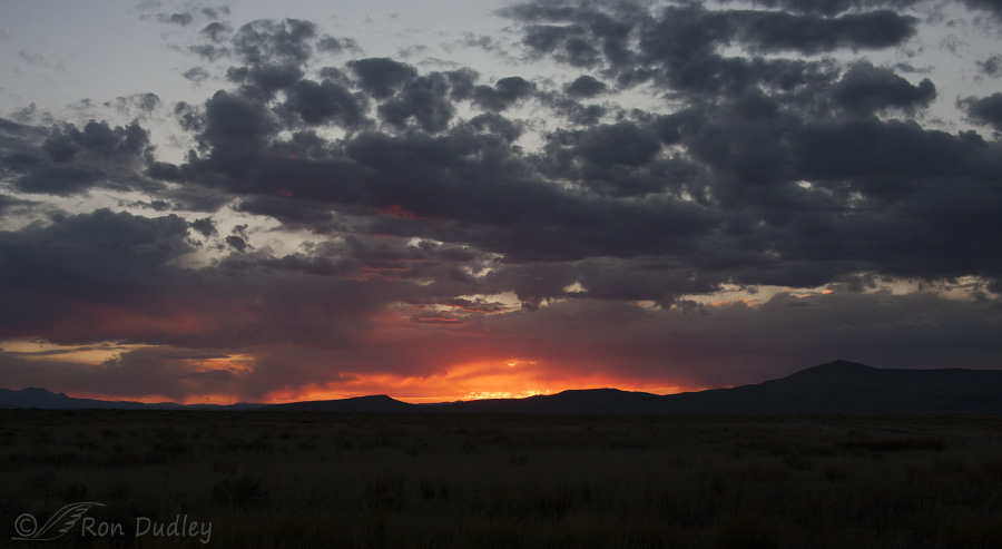centennial valley 1931 ron dudley