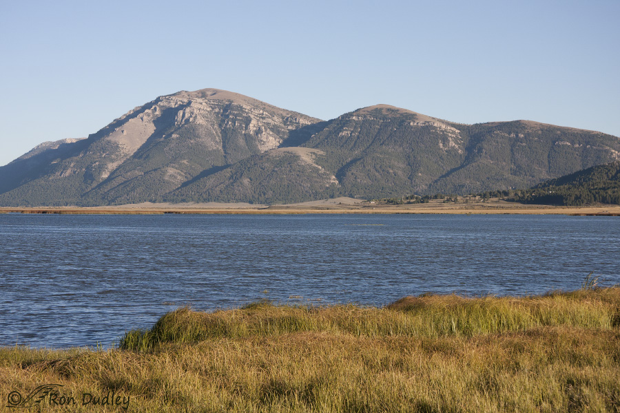 centennial valley 1973 ron dudley